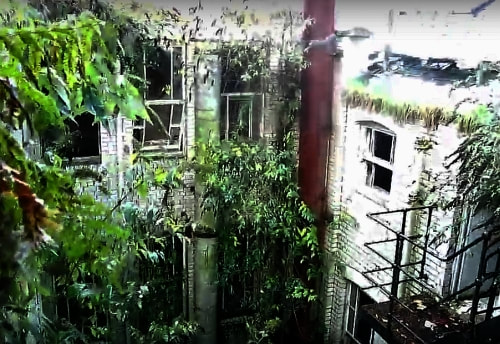 The inner courtyard resembles a jungle